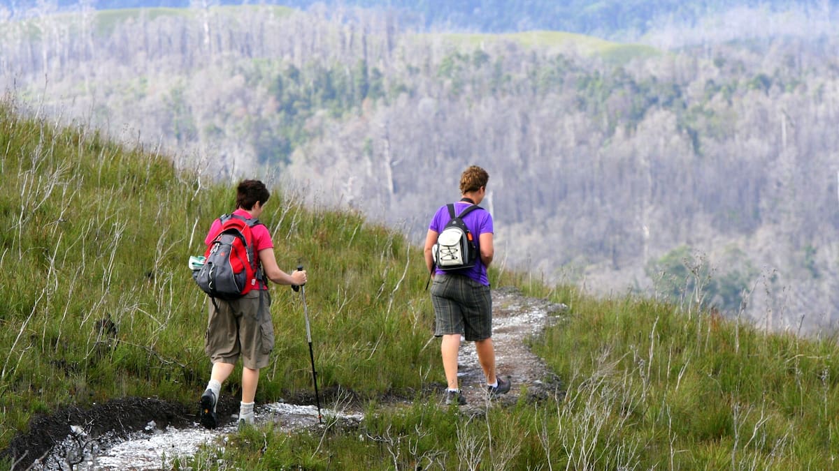 Corinna Wilderness Village review: A mindful Tasmanian escape for empty nesters