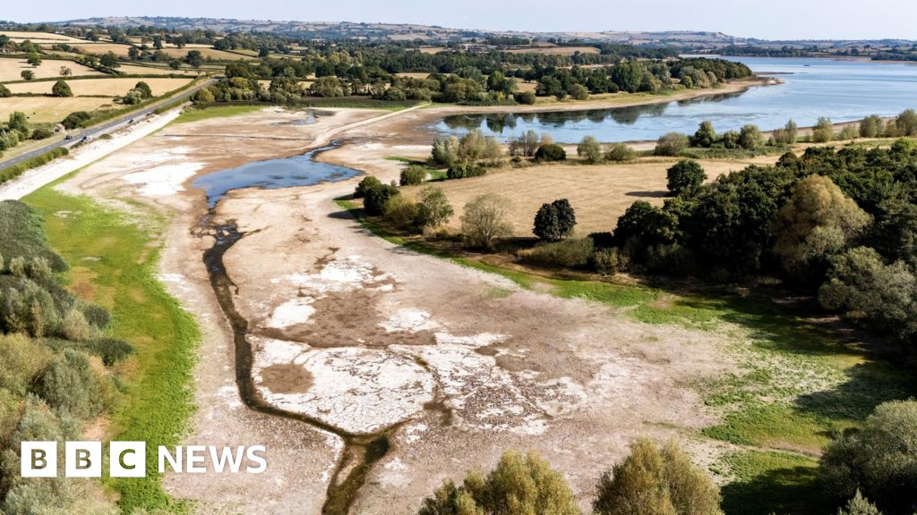 Rainfall helps West Country recover from prolonged dry spell