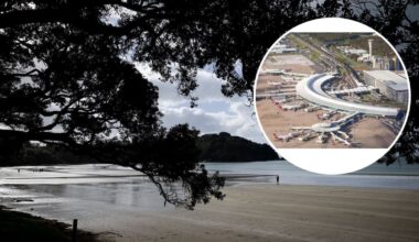 Kiwi actor’s Waiheke ferry suitcase saga goes viral as bag found in Brisbane