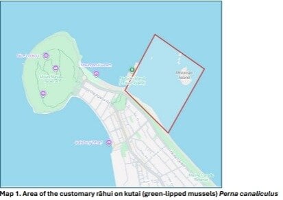 The customary rāhui area on kūtai. Graphic / Tauranga Moana Iwi Customary Fisheries Trust