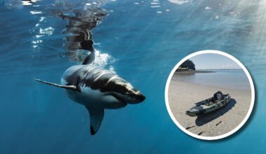 New Year’s: Some of the Northern Advocates’ top Northland headlines in 2025