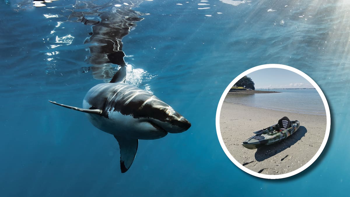 New Year’s: Some of the Northern Advocates’ top Northland headlines in 2025