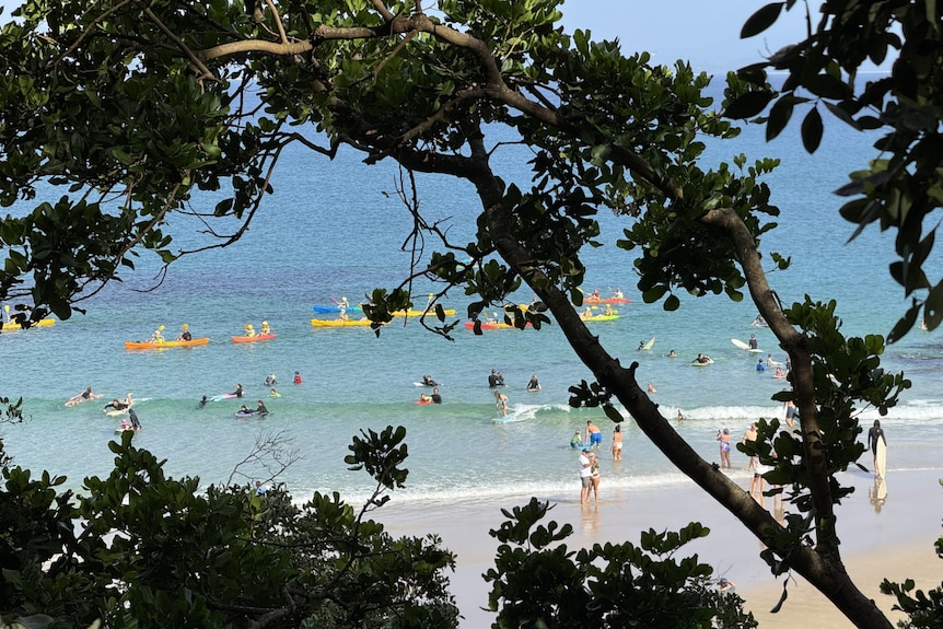 A wide shot of a beach and water with people kayaking and swimming