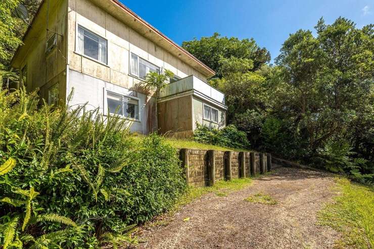 Art and Matilda Green were back in the headlines when they put their villa on the market, but other houses piqued buyer interest this year. Artwork / Beth Walsh