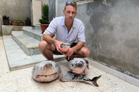 James Glancy/Blue Marine A conservationist, James Glancy, is pictured with two dead white sharks in the foreground. The image is posed by steps leading up to the doorway of a building. The sharks have been cut into several pieces and appear to be partially frozen 