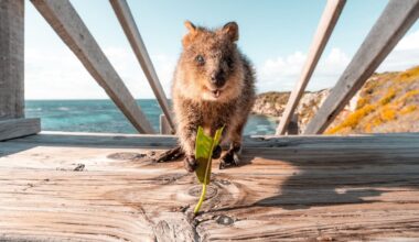 What it’s like flying Business Class on Qantas’s inaugural Auckland to Perth direct flight