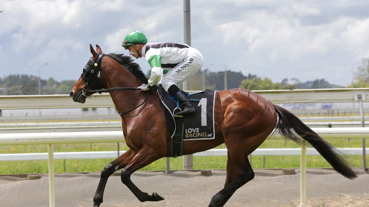 Horse racing: Pike could be party starter as Ellerslie twilight racing returns