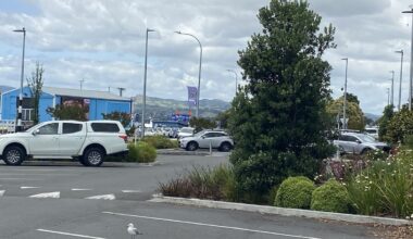 Tauranga incident: Man arrested after rocks allegedly thrown at family