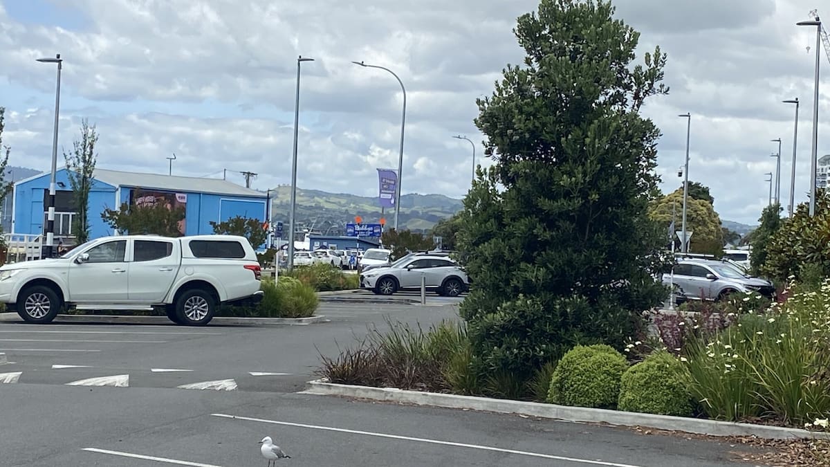 Tauranga incident: Man arrested after rocks allegedly thrown at family