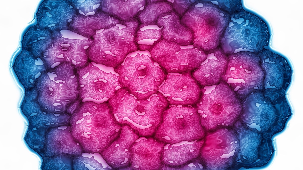 9 medical breakthroughs that gave us hope in 2025