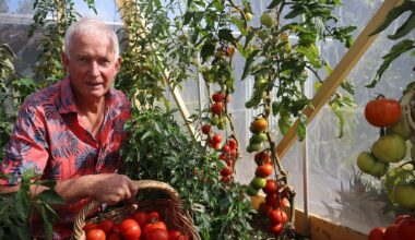 Phil Thomsen’s gardening guides inspire self-sufficiency and simple food growing