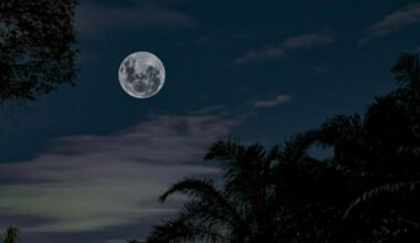 Don’t Miss The Cold Moon – Here’s When To See The Last Supermoon Of The Year