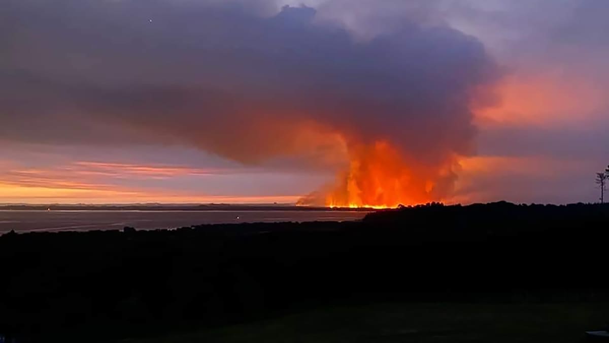 Total fire ban in Far North area at risk of wildfires