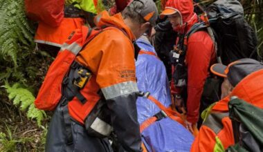 Elderly tramper winched to safety after 12-hour Kauaeranga Valley rescue