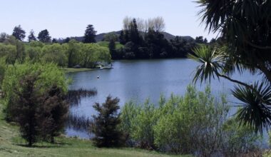 Bay of Plenty council urges summer swimmers to check Rotorua water safety