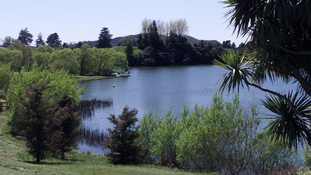 Bay of Plenty council urges summer swimmers to check Rotorua water safety