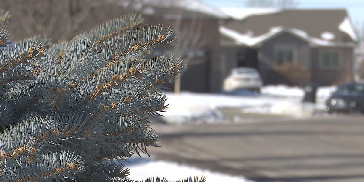 Experts give tips on dealing with seasonal affective disorder