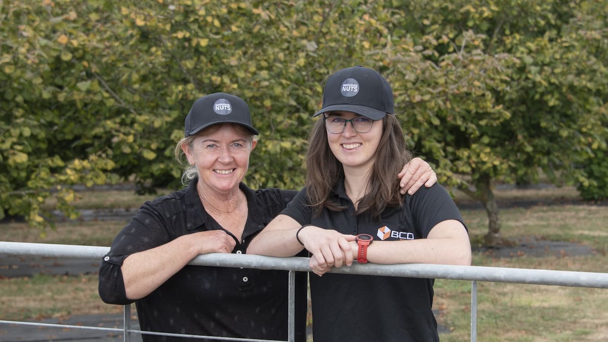 Year in Review: Hazelnuts prove to be a good cash crop for Waikato farmer