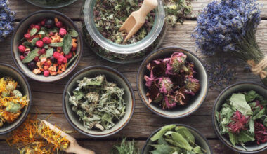 Here are 5 medicinal herbs you need to