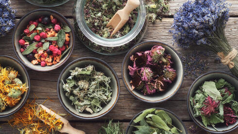Here are 5 medicinal herbs you need to