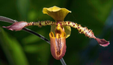 One of my favorite photo techniques