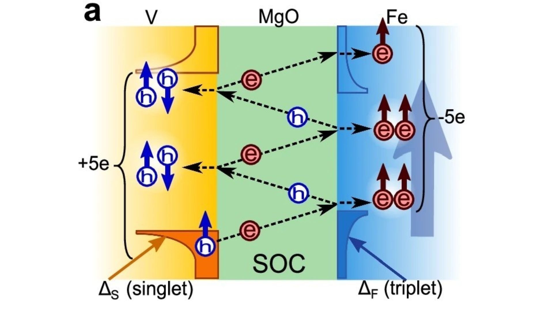 superconductivity from vanadium (yellow) is transformed at the magnesium oxide barrier (green), enabling iron (blue) to form same-spin electron pairs and participate in Josephson-junction-like behavior.