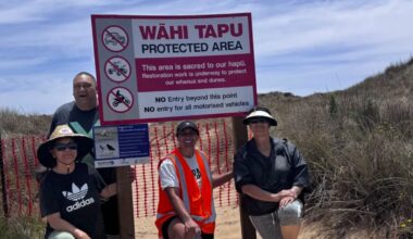 ‘Devastating in all ways’: Sand dune ecosystems on Tokerau Beach being destroyed by vehicles