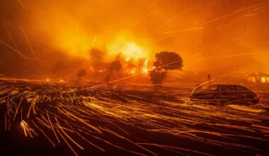 One defining photo from every week of 2025 - December 31, 2025