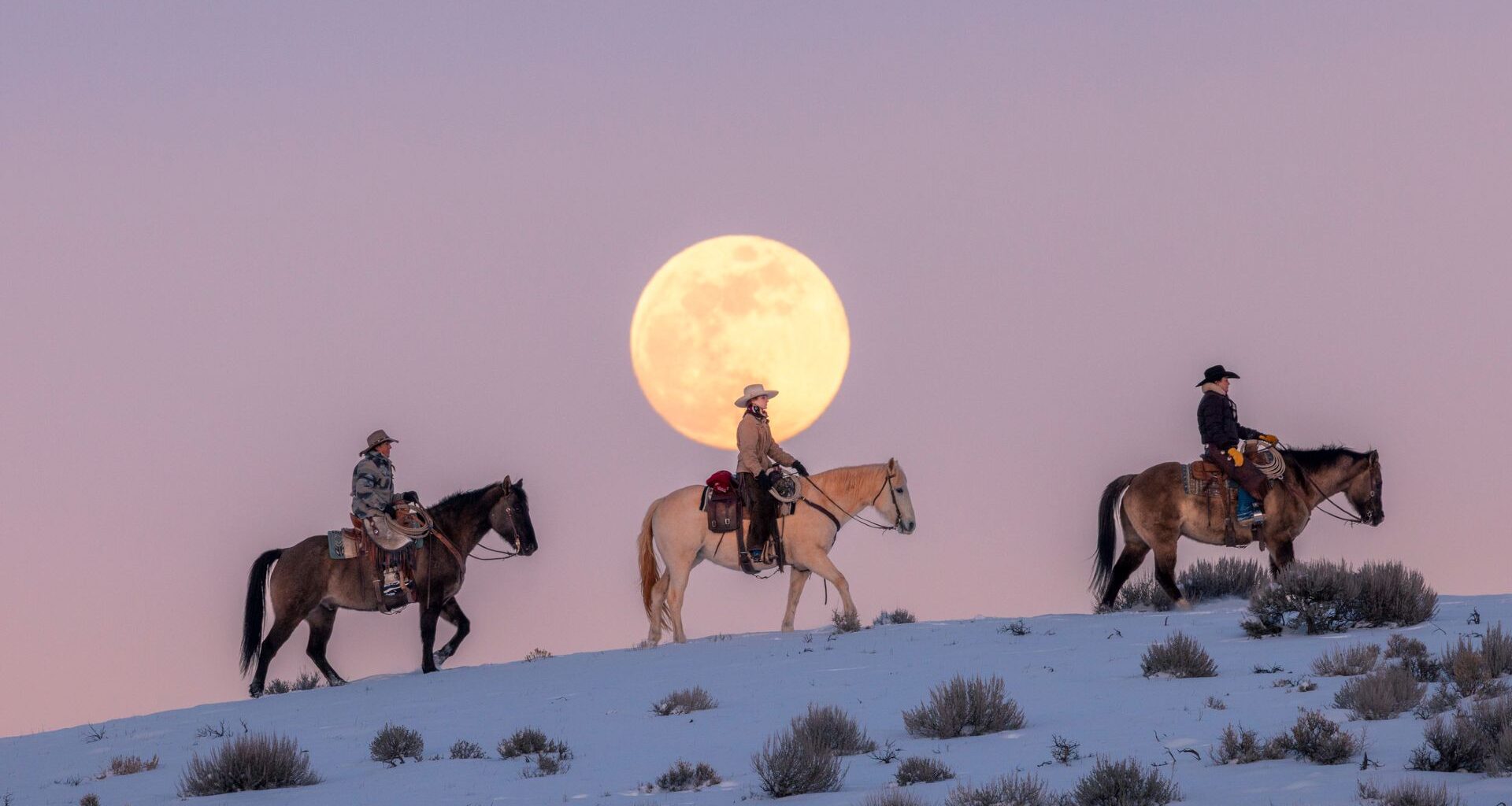 Three cowboys on horses wearing ten-gallon hats cross from left to right across a snowy hill with a large yellow full moon in a pink night sky behind them