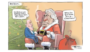 Rod Emmerson’s cartoons: Week of December 22 - 28