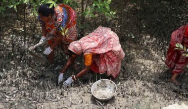 Their Husbands Were Killed by Tigers. Now These Women Are Restoring the Big Cat’s Threatened Habitat