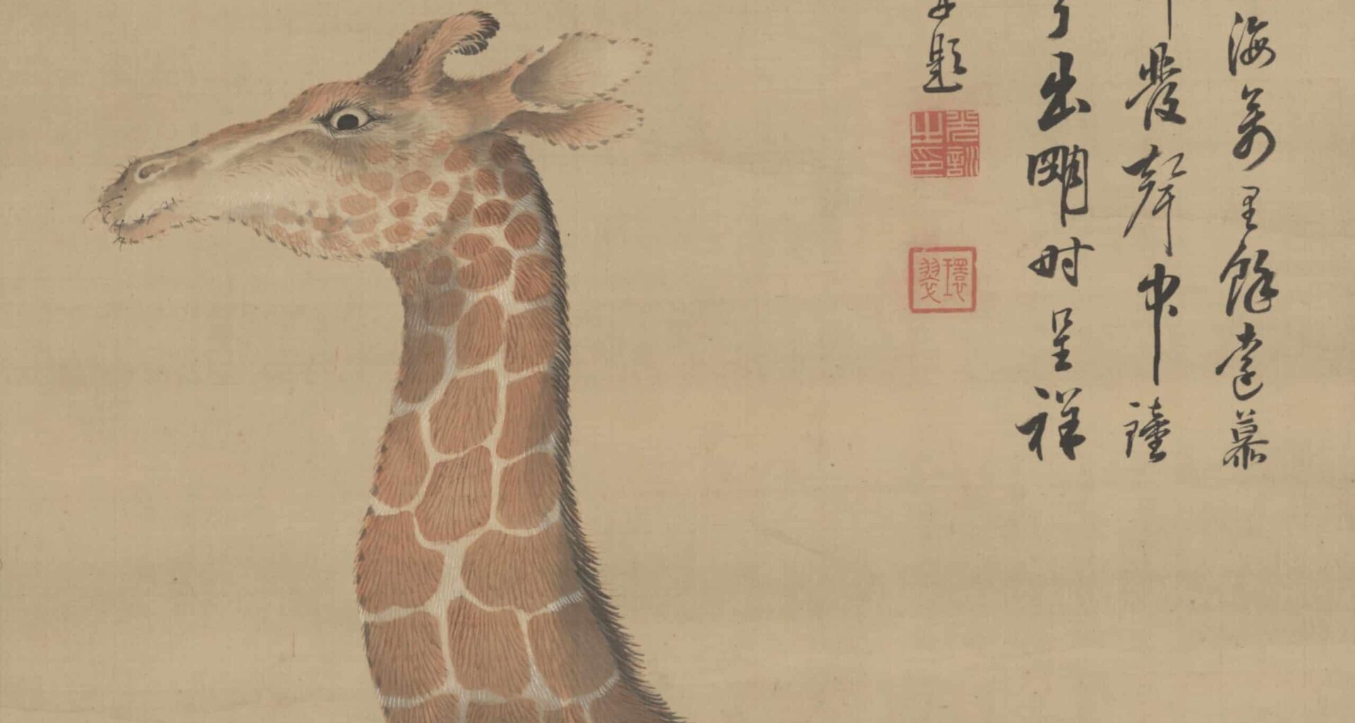 New Paper: Giraffe Fossil Record Defies Neo-Darwinism