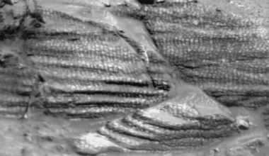 Nasa’s Curiosity Rover Parked On A New Spot On Mars—and Made An Unprecedented Discovery