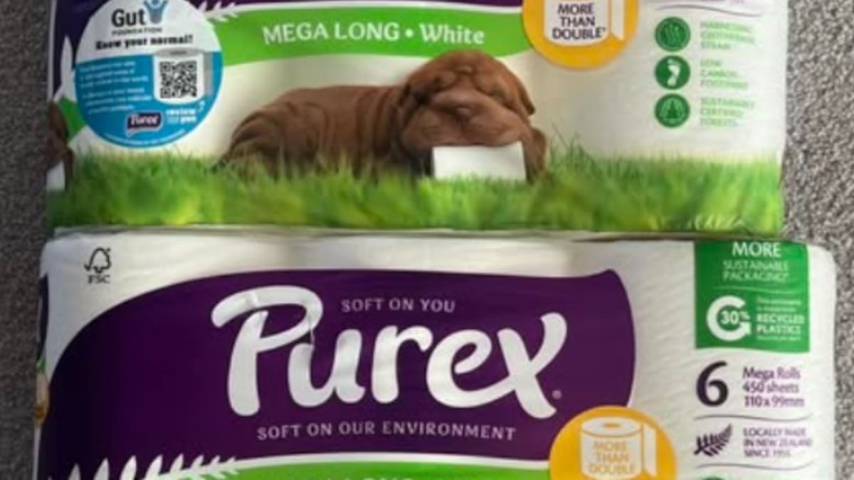 Purex Mega Long toilet rolls reduced in size, accusations of shrinkflation
