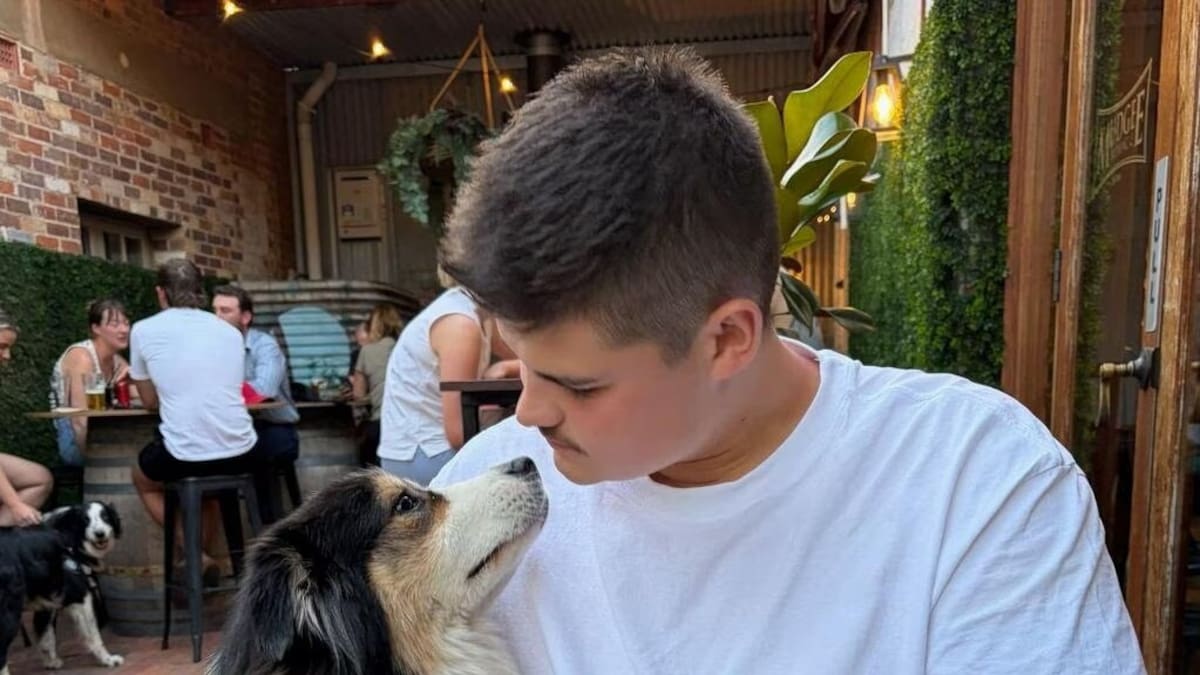 Update on Bondi Beach officers as Scott Dyson emerges from coma and Jack Hibbert returns home