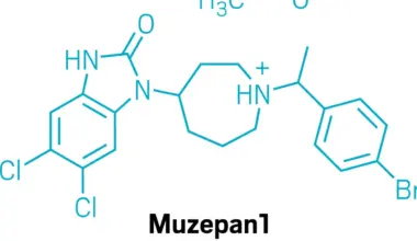 Opioid receptor agonists take advantage of new understanding of GPCR biology