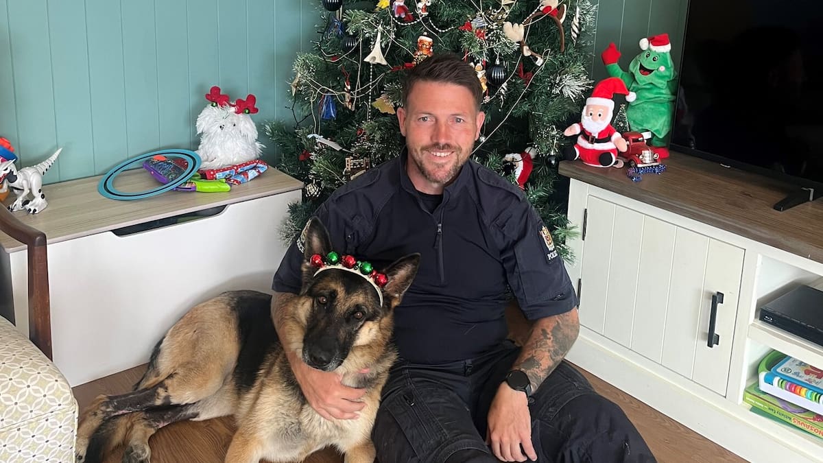 Police dog Teo - burned in Rotorua geothermal water - on road to recovery