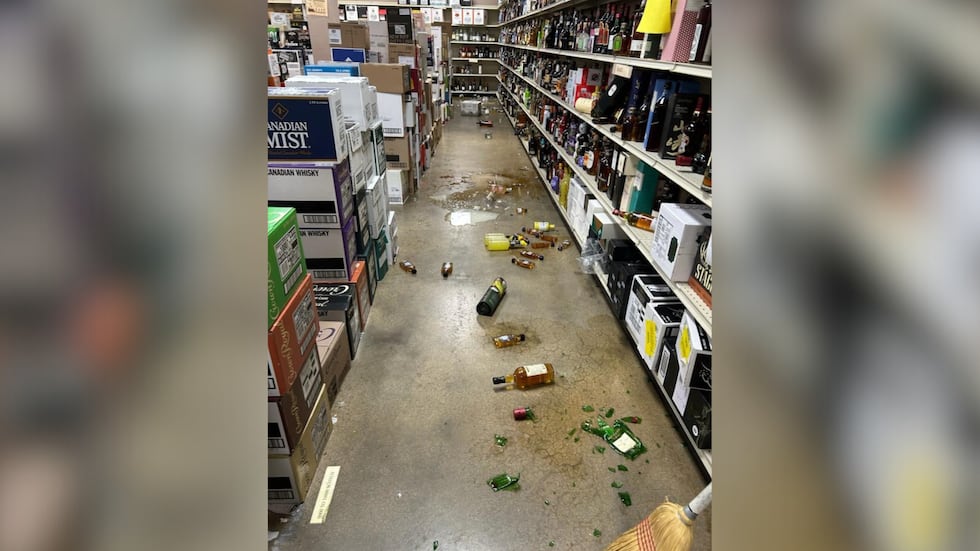 The raccoon had damaged merchandise on multiple shelves.