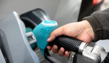 Gull, NPD merger should bring fuel prices down with low-cost business model – AA