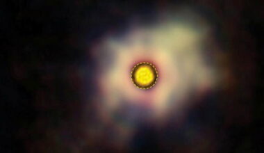 seeds of life stellar wind stardust