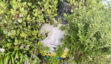 Fantasyland: What happened to Humpty Dumpty?