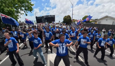 National MP, Free Speech Union criticise Brian Tamaki-linked protest at Sikh parade