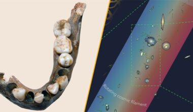 Left image shows remains of an ancient jawbone, right image shows a graphic illustration of numerous galaxies together