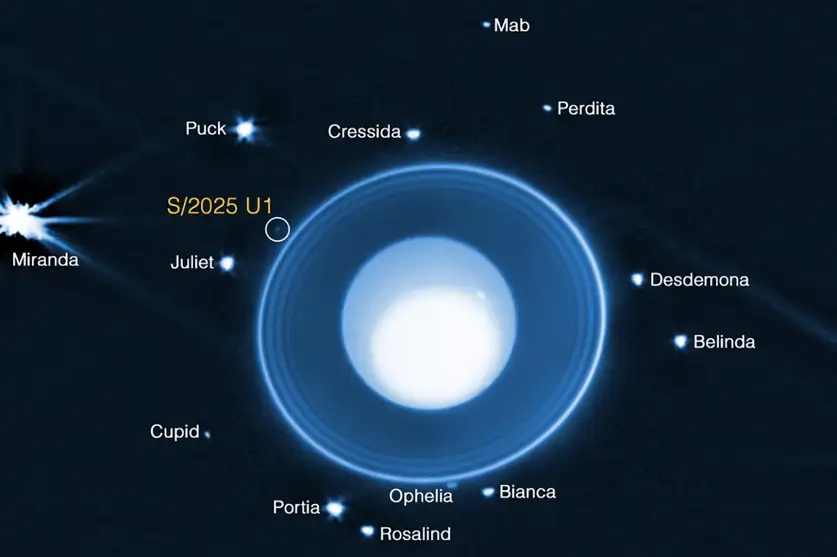Sei 271647963