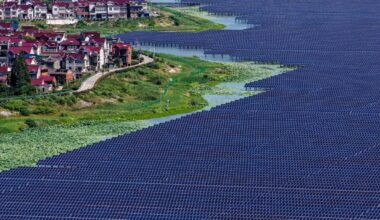 China's carbon emissions may have started to fall in 2025