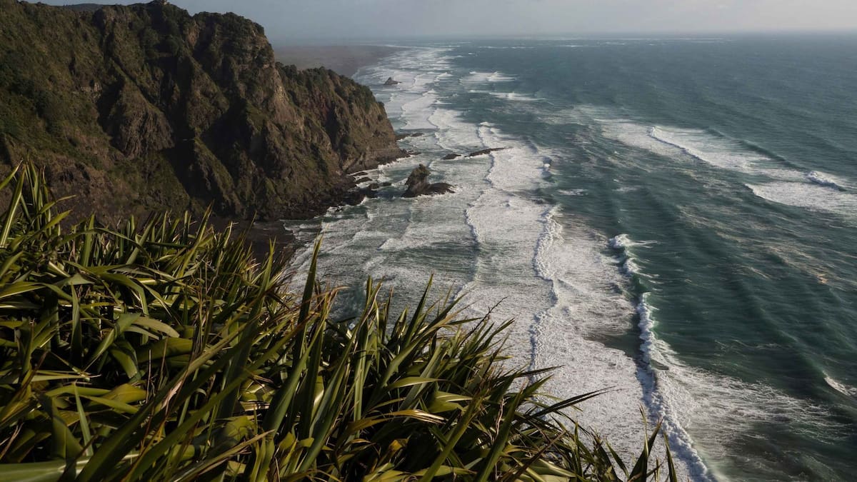 Hidden Auckland: Five summer spots worth going out of your way to find