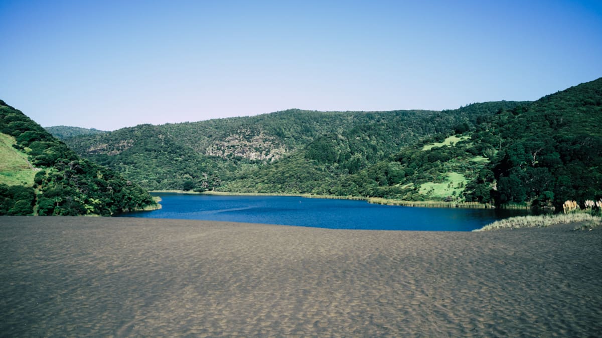 Body of 23-year-old swimmer found after Lake Wainamu search