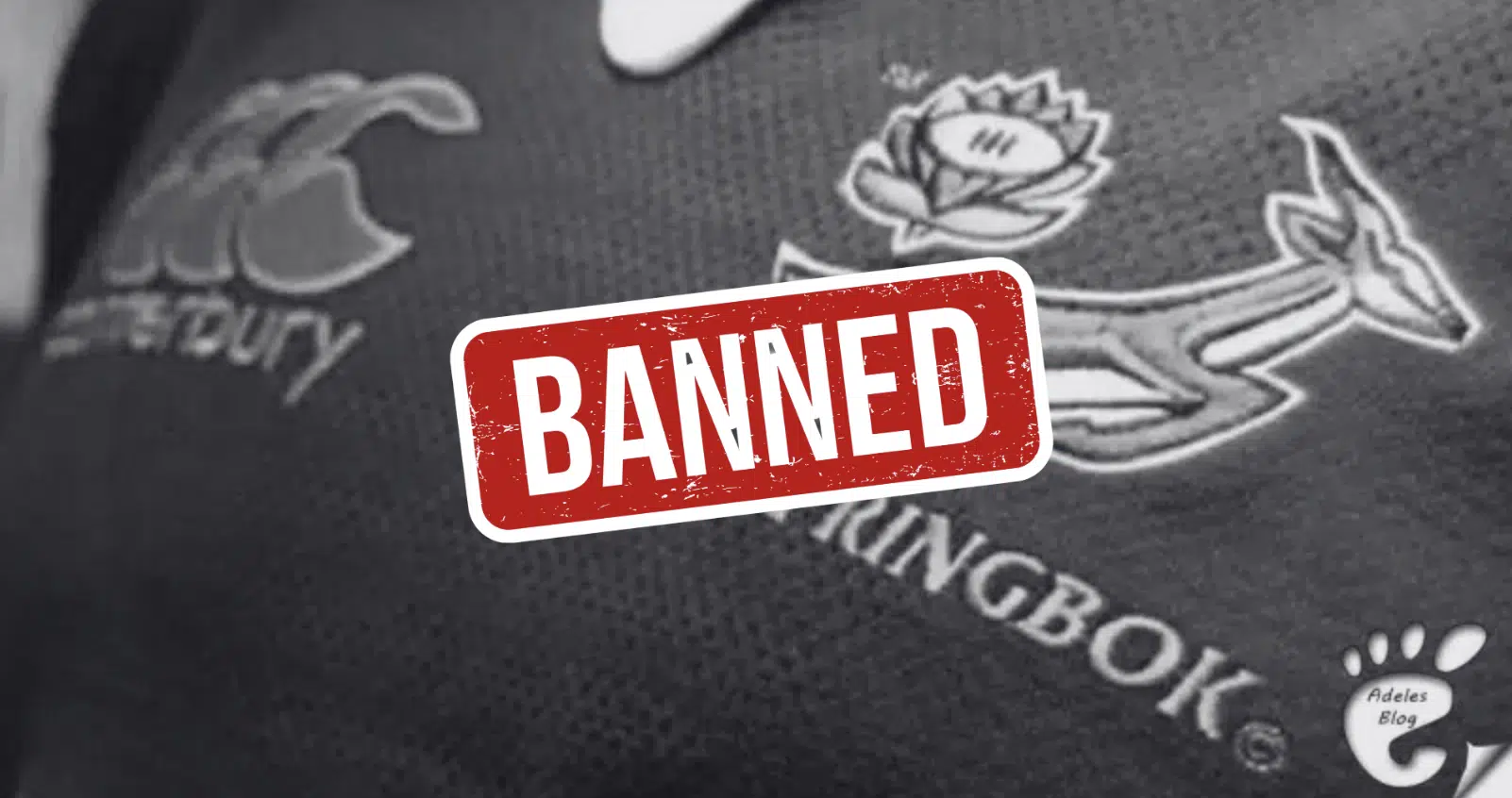 World Rugby has banned FIVE countries from Rugby World Cup's