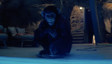 Watch a Tense 'Primate' Scene With a Very Angry Chimpanzee!