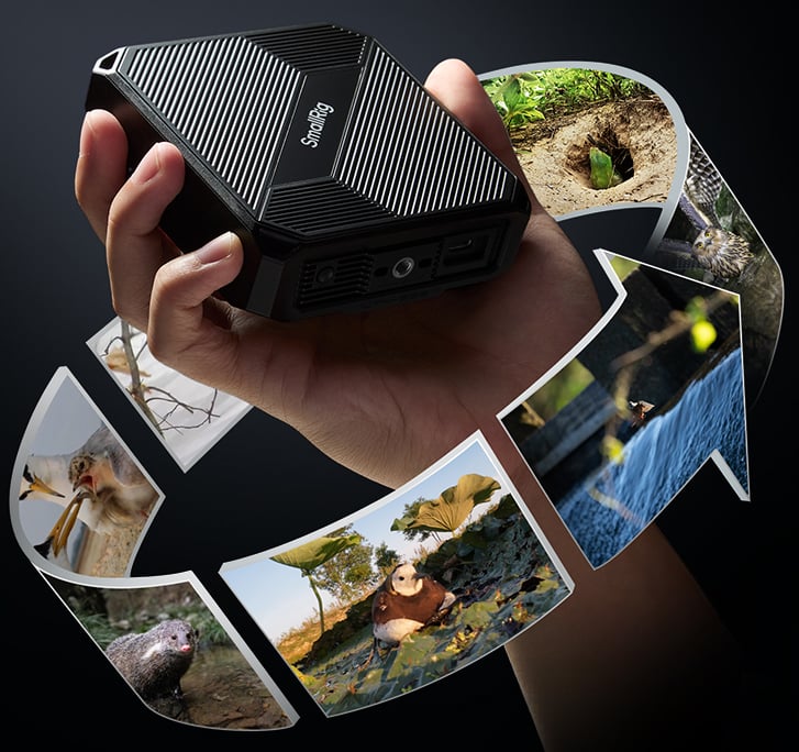 A hand holds a black SanDisk device, surrounded by floating wildlife photos, including birds, a meerkat, a turtle, and a plant sprout, arranged in a spiral pattern.
